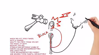 Video animation 43